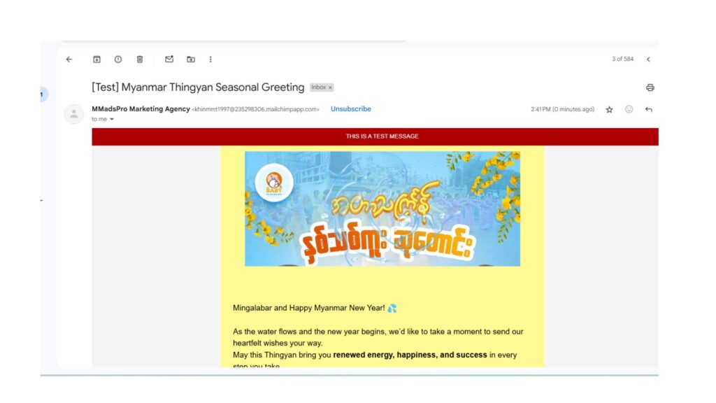 E mail Campaign
